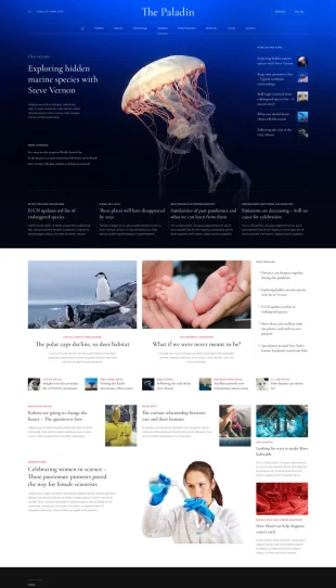 Tata Letak Halaman Yootheme Paladin