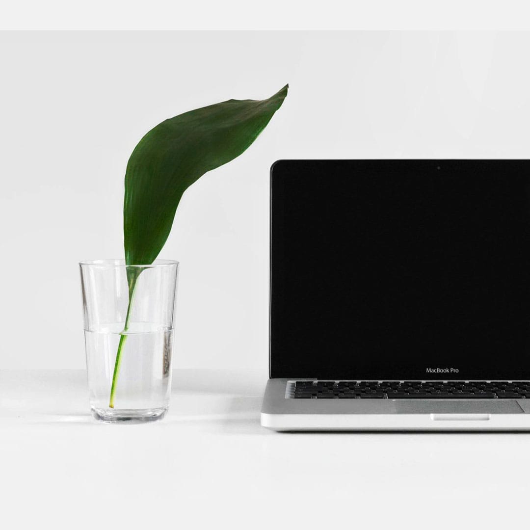 02 digital minimalism