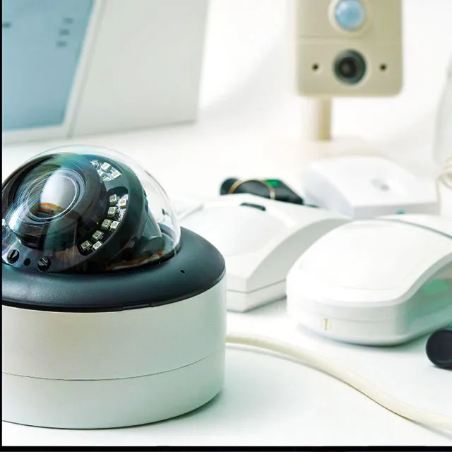 Ilustrasi Home Security